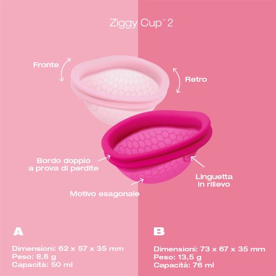 ZIGGY CUP 2 SIZE A